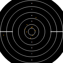 Target Image
