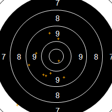 Target Image