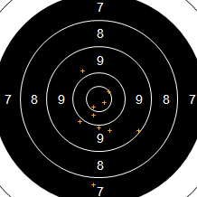 Target Image
