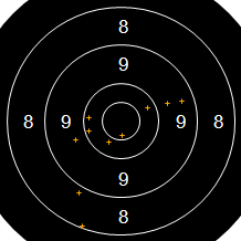 Target Image