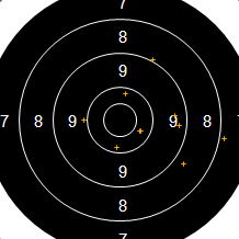 Target Image