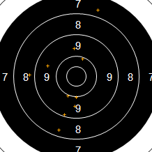 Target Image