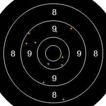 Target Image