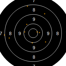 Target Image