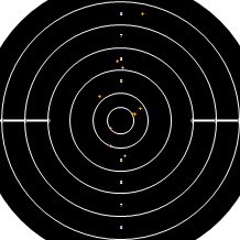 Target Image