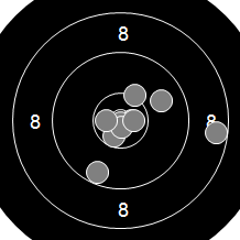 Target Image