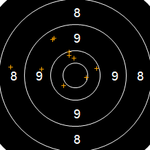Target Image