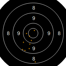 Target Image