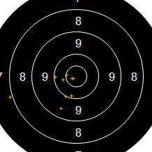Target Image