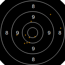 Target Image