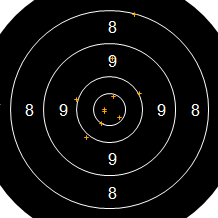 Target Image