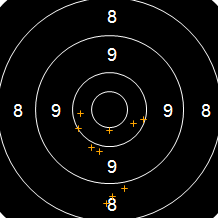 Target Image