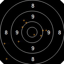 Target Image