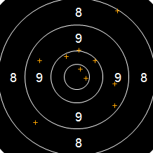 Target Image