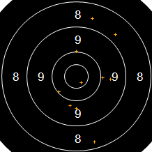 Target Image