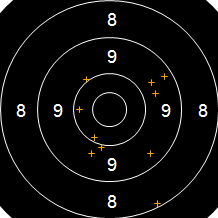 Target Image