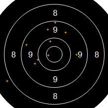 Target Image