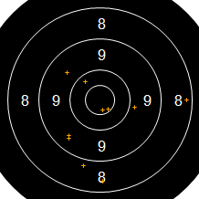 Target Image