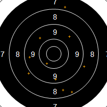 Target Image