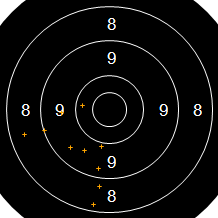 Target Image