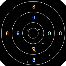 Target Image