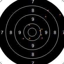 Target Image