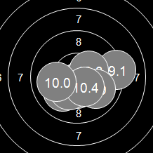 Target Image