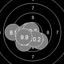 Target Image