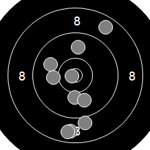 Target Image