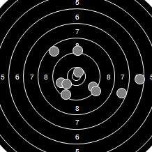Target Image
