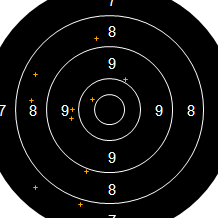 Target Image