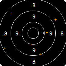 Target Image