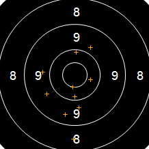 Target Image