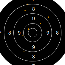Target Image