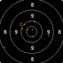 Target Image