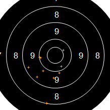 Target Image