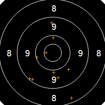 Target Image