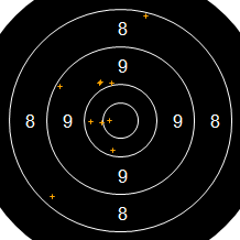 Target Image