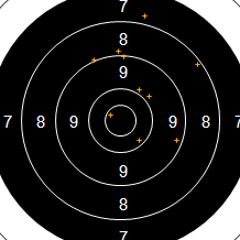 Target Image