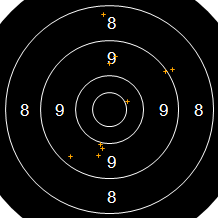 Target Image