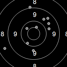 Target Image