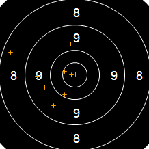 Target Image