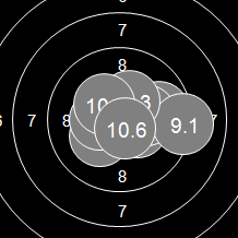 Target Image