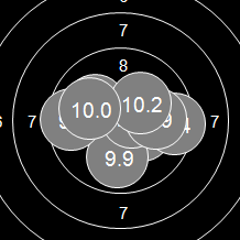 Target Image