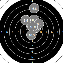 Target Image