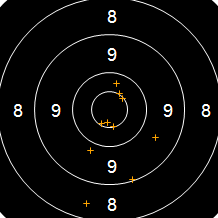 Target Image