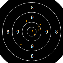 Target Image