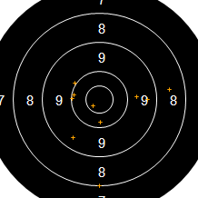 Target Image