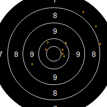 Target Image