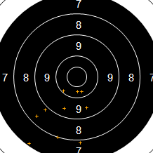 Target Image
